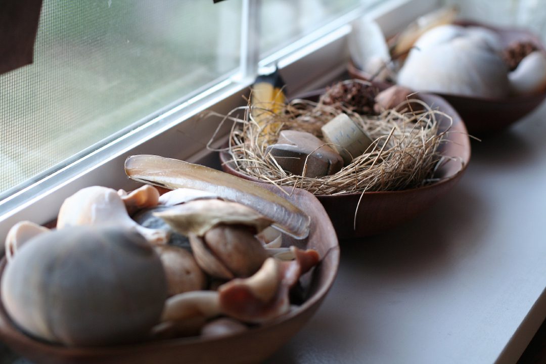 nest