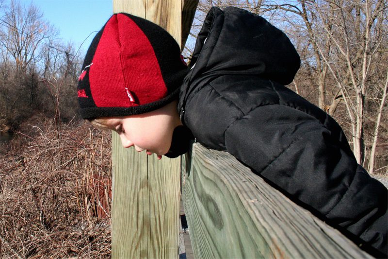 fence