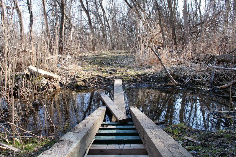 the perilous crossing