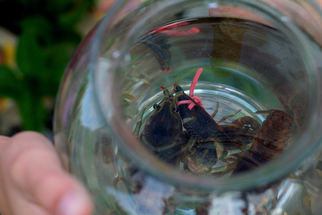 release