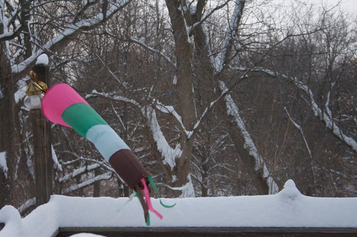 winter windsock