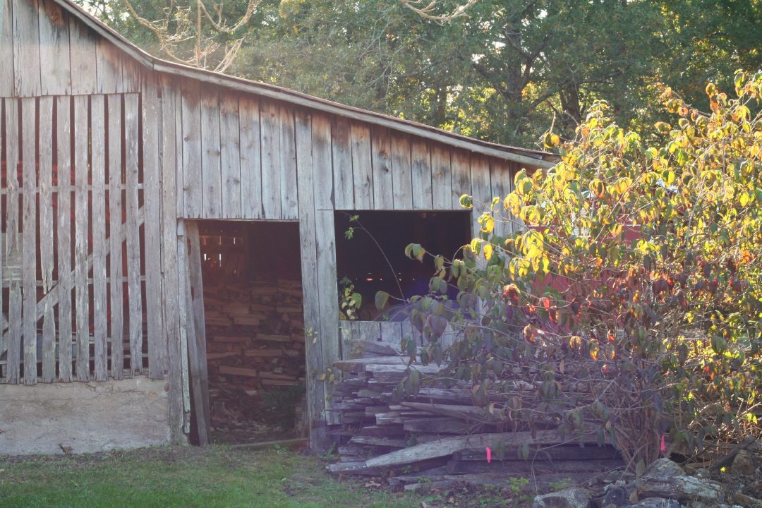 woodshed